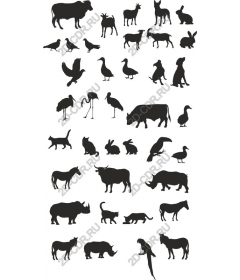  A diverse bunch of animals