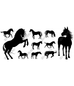  Equine Elegance: Коллекция лошадей
