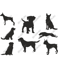  Collection of dogs