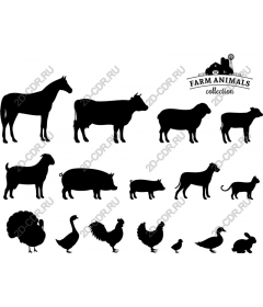  Collection of farm animals