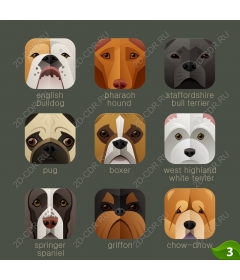 Icons collection of adorable breeds of dogs