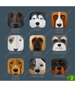  Adorable dog team