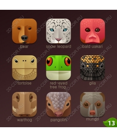 Expression of the wild: the set of icons of animals