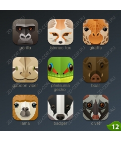 Icons collection of wildlife