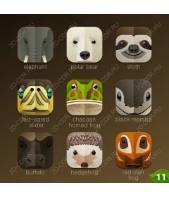  A package of icons "Adorable animals"