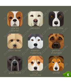 Icons set breeds of dogs