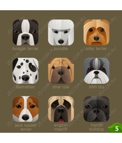  Set of adorable dog faces