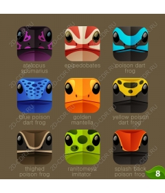  Collection of colorful poisonous frogs-dart