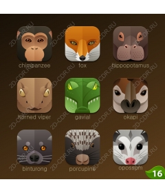 Icons collection of wildlife