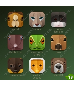  A collection of bright icons animals