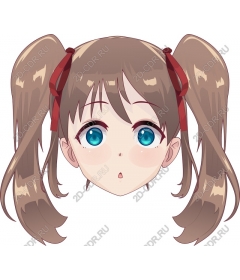  The girl's face from the anime