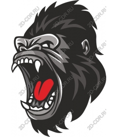 Head ferocious gorilla Revada