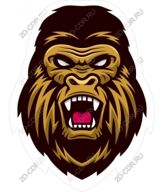 Head ferocious gorilla