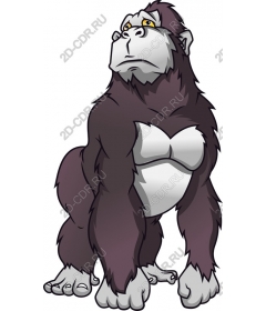 Majestic gorilla