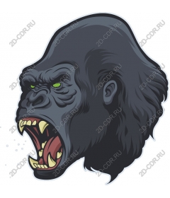  Ferocious roaring gorilla