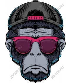  Fashionable Monkey Head