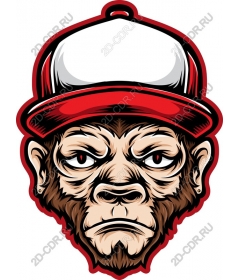  Fierce urban monkey