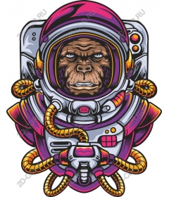  The adventures of astronaut-gorilla