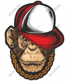  Городская обезьяна