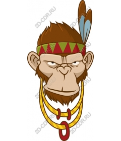 Fancy face monkey