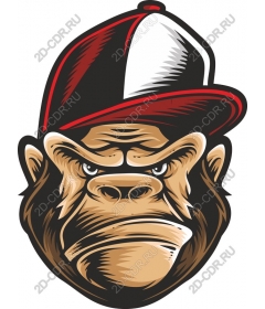  Drawing of a gorilla with a hat - Stylish