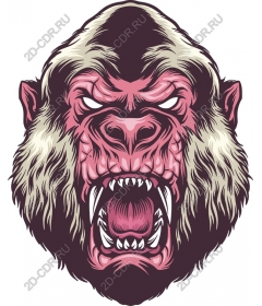  Ferocious gorilla face