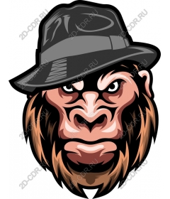  The logo is the Head of a Gorilla in the hat
