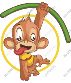 Playful monkey swinging