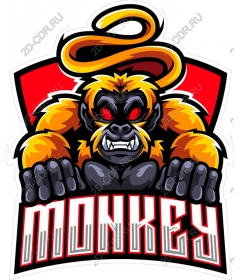  Ferocious monkey