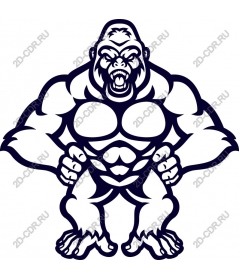  Ferocious gorilla