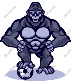 Gorilla Football