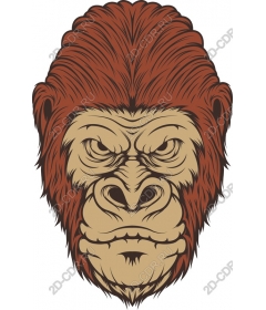  Ferocious gorilla