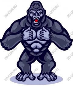  Powerful gorilla