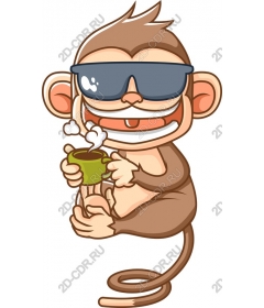  Adorable monkey