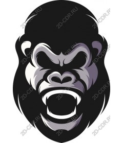  Ferocious gorilla