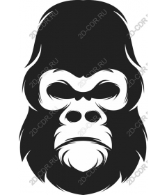  Ferocious gorilla