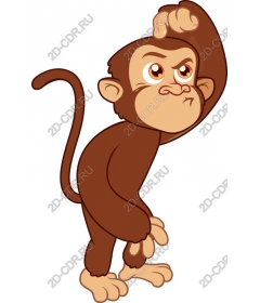  Sweet monkey