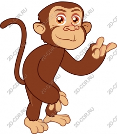  Charming playful monkey