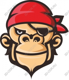  Pirate monkey