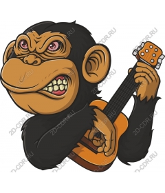  APE player