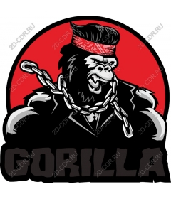  Cheeky gorilla