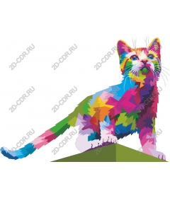  Colorful cat