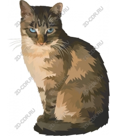 Homemade cat