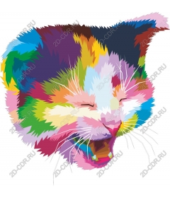  Colorful cat