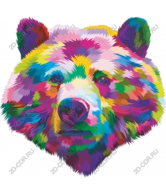  Color bear's head
