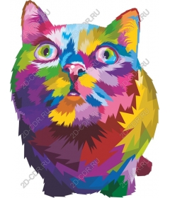 Разноцветный кот