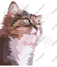  Stylish geometric cat