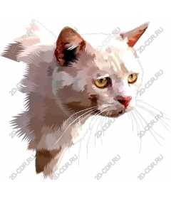  Элегантный Кот