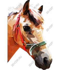  The Majestic Horse