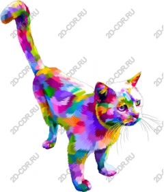  Colorful cat